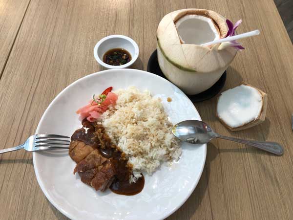 Protected: Duck Rice & Coconut